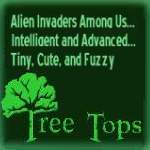 TREE TOPS by Cammy May Hunnicutt